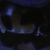 Profile Picture of Jesse Fuller (@jessefuller6728) on Youtube