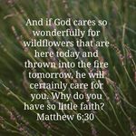 Profile Picture of Kimberly Hofer (@kimbdoll) on Instagram