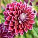 Profile Picture of Berta Smith (@berta.smith.5030) on Facebook