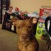 Profile Picture of Michael Kopecky (@michael.kopecky.73) on Facebook