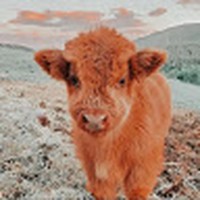 Profile Picture of Fallon Edwards (@fallon-edwards-6) on Quora