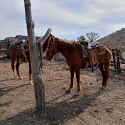 Profile Picture of Rene Alvarez (@ReneAlvarez-wq3sc) on Youtube