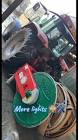Profile Picture of   Adam Prent (@adamprent7610)... (@adamprent7610) on Tiktok