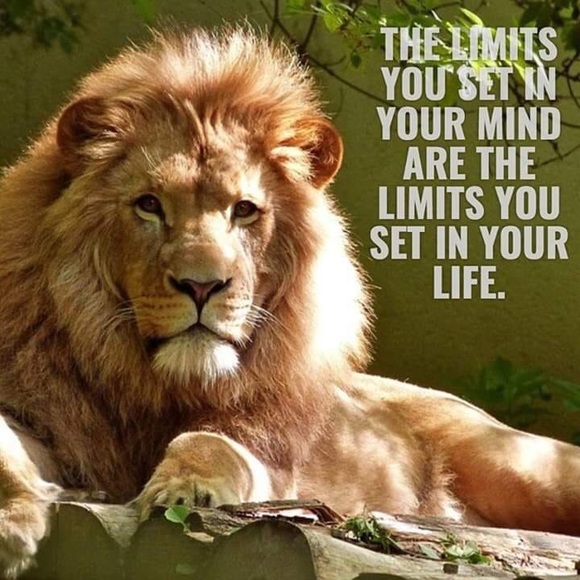 Profile Picture of Joel Salinas (@jl_05) on Poshmark