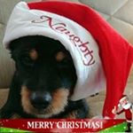 Profile Picture of Wendy Bishop Wiley (@wendywiley) on Instagram