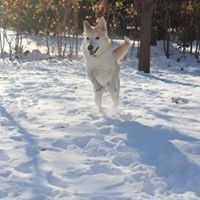 Profile Picture of Tyler Kerr (@tyler-kerr-24) on Quora