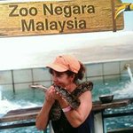 Chris Coffey Bettison - Instagram Profile Picture of Chris Coffey Bettison (@chris_bettison) on Instagram