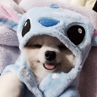 Profile Picture of Sandy Chew (@sandy-chew-3) on Quora