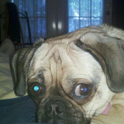 Profile Picture of Scott Cottrill (@CottrillScott) on Twitter