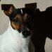 Profile Picture of Houby Russel (@Houby-Russel) on Facebook