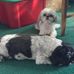 Profile Picture of Cindy Calabria (@cindy.calabria.9) on Facebook