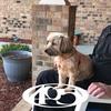 Profile Picture of Ken Downs (@@kendowns3) on Tiktok