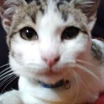 Profile Picture of Bianca Ochoa (@bianca.ochoa.92351) on Instagram