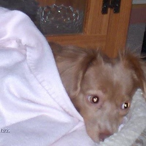 Profile Picture of Sandy Holloway (@290120088) on Myspace