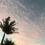 Profile Picture of Jenny Mattes (@wandellagirl) on Instagram