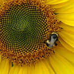 Profile Picture of derektait (@derektait) on Flickr