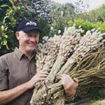 Profile Picture of Gary Harneiss (@wild_pick_nz) on Instagram