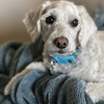 Profile Picture of Gary Schutt (@gary.schutt) on Facebook