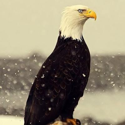 Profile Picture of Mark Tait (@cidec35) on Twitter