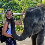 Profile Picture of Karen Echeverria (@karen_ech) on Instagram