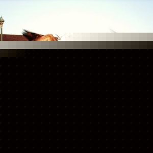 Profile Picture of Clean Battle (@icanspit) on Myspace