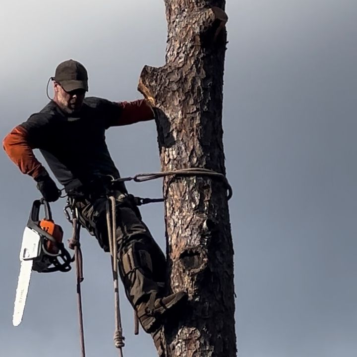 Profile Picture of Andrew Pridgeon (@andrew.pridgeon) on Tiktok