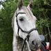 Profile Picture of Anna Hannemann (@Anna-Hannemann) on Facebook