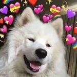 Profile Picture of 𝙅𝙤𝙚.𝙣𝙖𝙮𝙡𝙤𝙧 (@jnxyllor) on Instagram