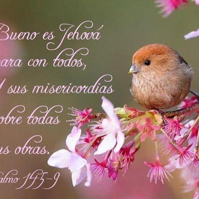 Profile Picture of Guadalupe Quintero (@guqum79) on Twitter
