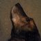 Profile Picture of Chad Loveland (@chad.loveland.718) on Facebook