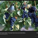 Profile Picture of Pamela Abbott (@tidelabbott) on Instagram