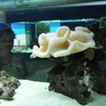 Profile Picture of Michaela Havlínová (@michaelahavlinova) on Instagram