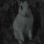 Profile Picture of Kevin Larin (@kevin.larin.330) on Facebook