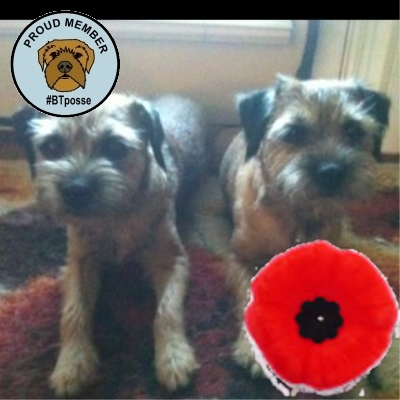 Profile Picture of Douglas&Chloe&Razz (@DouglasandChloe) on Twitter