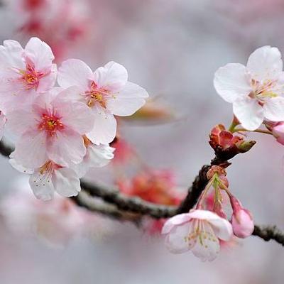 Profile Picture of Tatjana Kodre (@tatjanak1) on Twitter