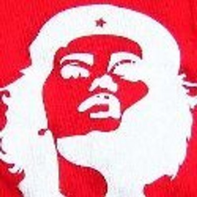 Profile Picture of Alice Van Der Klei (@AlicevdK) on Twitter
