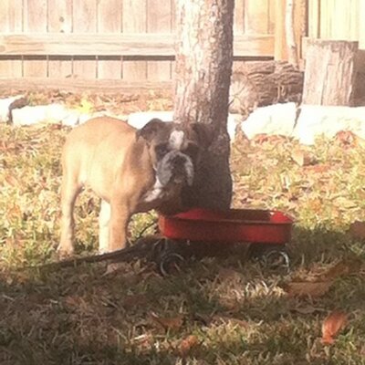 Profile Picture of Jeff Slocum (@jslocum325) on Twitter