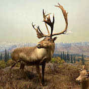 Profile Picture of Nicholas Chase (@Nchase1968) on Youtube