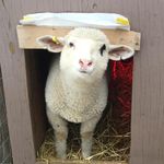 Profile Picture of Avery Dyer (@badbehavery) on Instagram