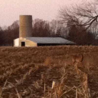 Profile Picture of Curt Ison (@citrk16) on Twitter
