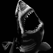 Profile Picture of Jannis Karastamatis (@janniskarastamatis1291) on Youtube