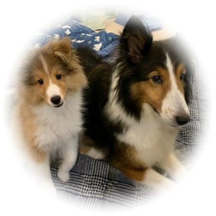 Profile Picture of きーちゃ (@luna_flora) on Tiktok