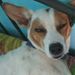 Profile Picture of Jayanth Kumar (@jk9363656) on Pinterest