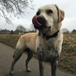 Profile Picture of Alex Goncharov (@alex.g171) on Instagram