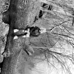 Profile Picture of Jaidyn Shriver (@jaidyn.shriver.2025) on Facebook