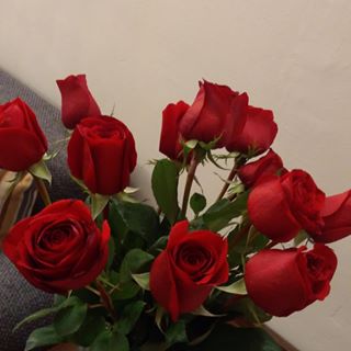 Profile Picture of Luz Boyer (@luz.boyer.739) on Facebook