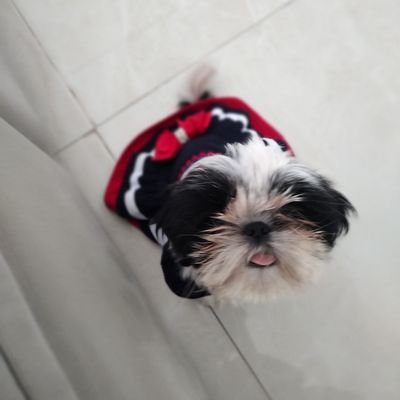 Profile Picture of Key  😼 (@kennedyS2_) on Twitter
