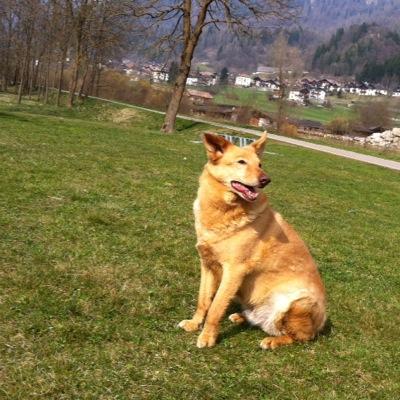 Profile Picture of Lapulcemaledetta #onda Civica ❤🖤 (@robe_marc) on Twitter