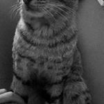 Profile Picture of Carlos Sermeno (@sermeno.carlos) on Instagram