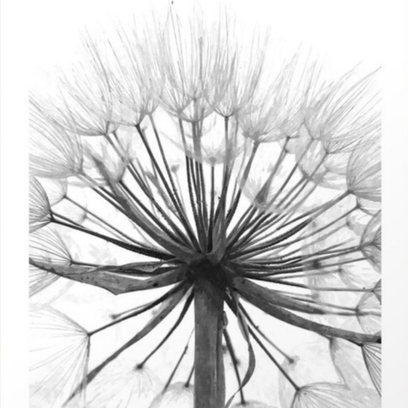 Ginger Brock - Poshmark Profile Picture of Ginger Brock (@gingerzz345) on Poshmark